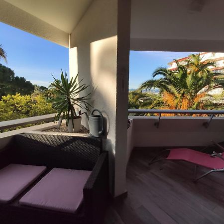 Tres Beau T2 Dans Parc Montfleury ,Proche Centre ,Au Calme 44 Bd Montfleury Daire Cannes Dış mekan fotoğraf